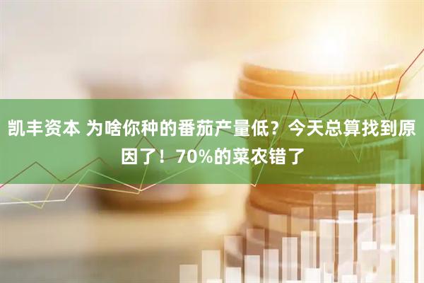 凯丰资本 为啥你种的番茄产量低？今天总算找到原因了！70%的菜农错了