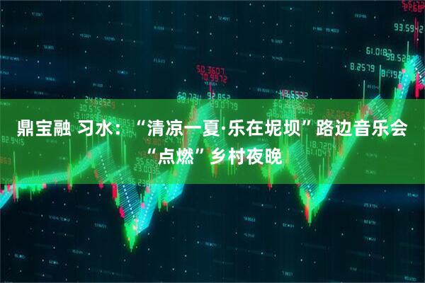 鼎宝融 习水：“清凉一夏·乐在坭坝”路边音乐会“点燃”乡村夜晚