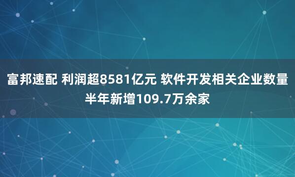 富邦速配 利润超8581亿元 软件开发相关企业数量半年新增109.7万余家